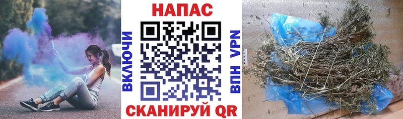 omg ссылка  где купить наркоту  Павлово  Каннабис MAZAR 